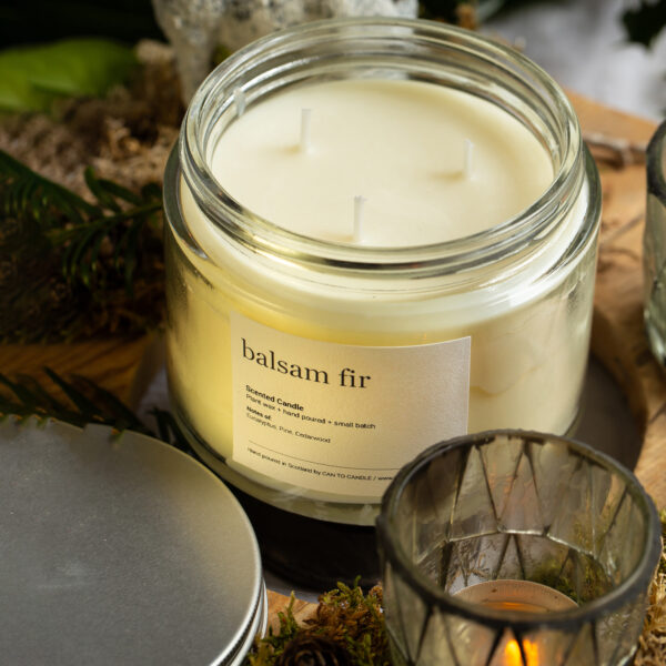 Balsam fir scented 3 wick candle