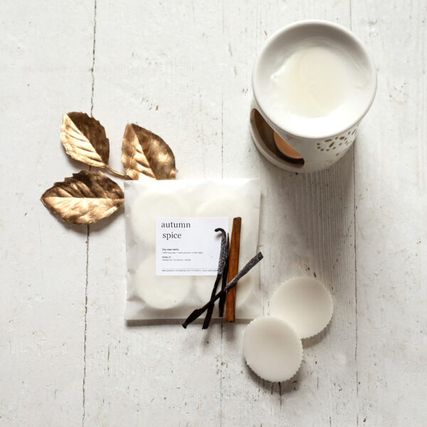 autumn spice scnted soy wax melts